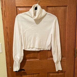 Aritiza Crop Top Turtleneck
